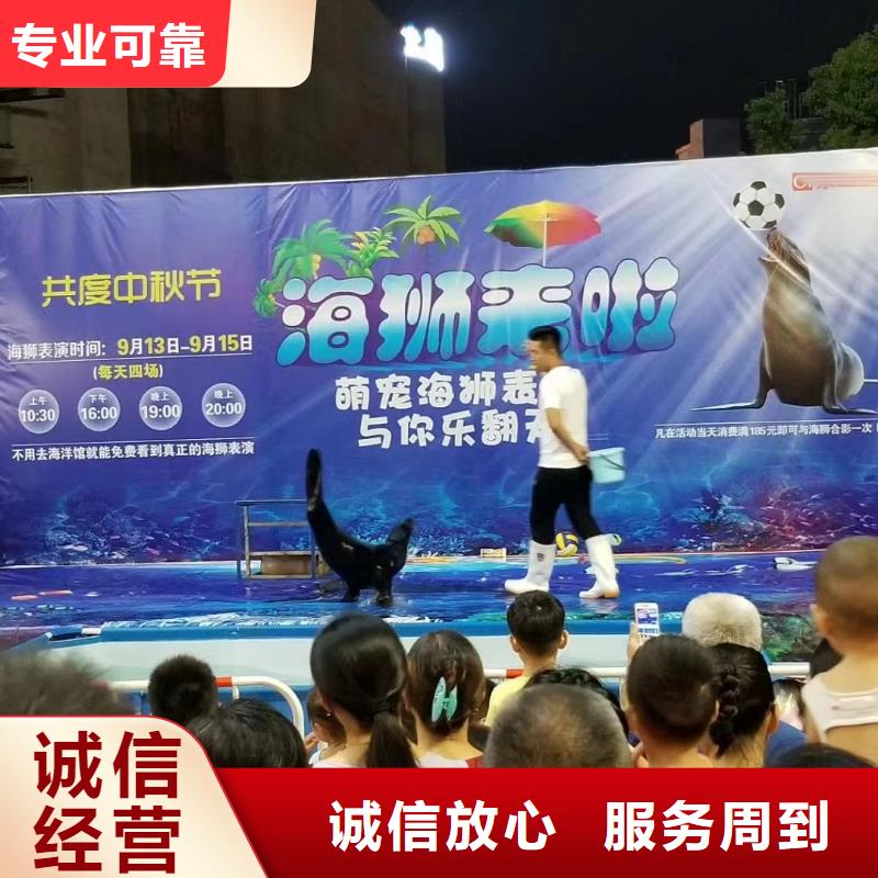 海洋主題動物表演【馬戲團表演】實力雄厚