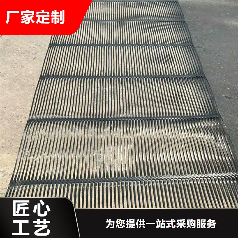 土工格柵\抗裂貼單向塑料土工格柵大庫存無缺貨危機(jī)