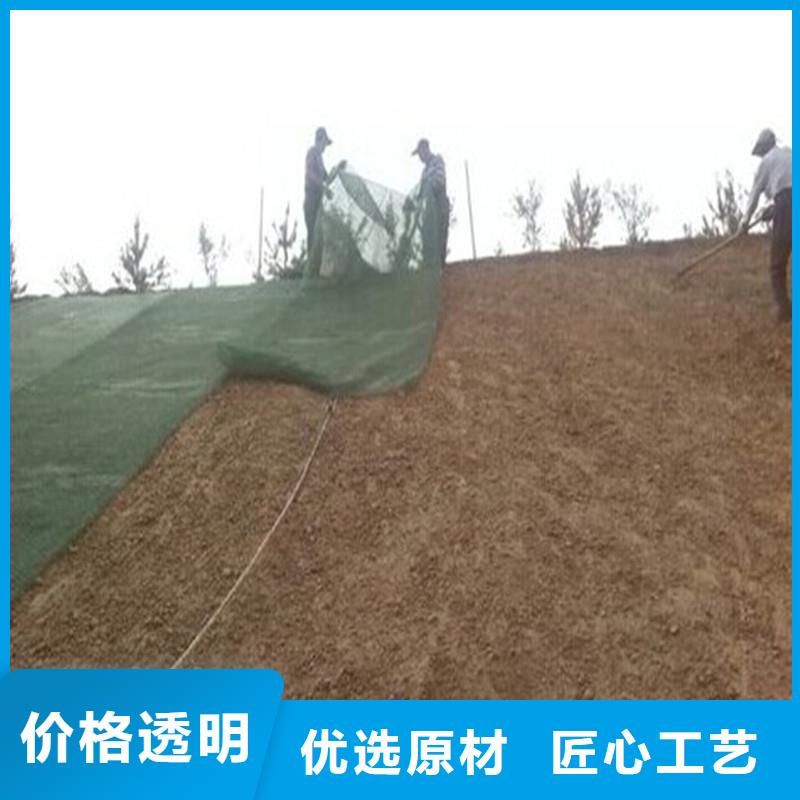 土工布建筑工程材料廠家大量現(xiàn)貨