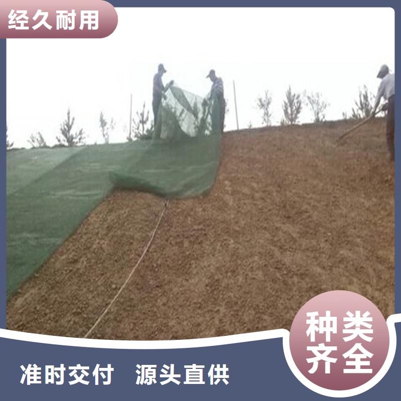 【土工布_雙向土工格柵好產品價格低】