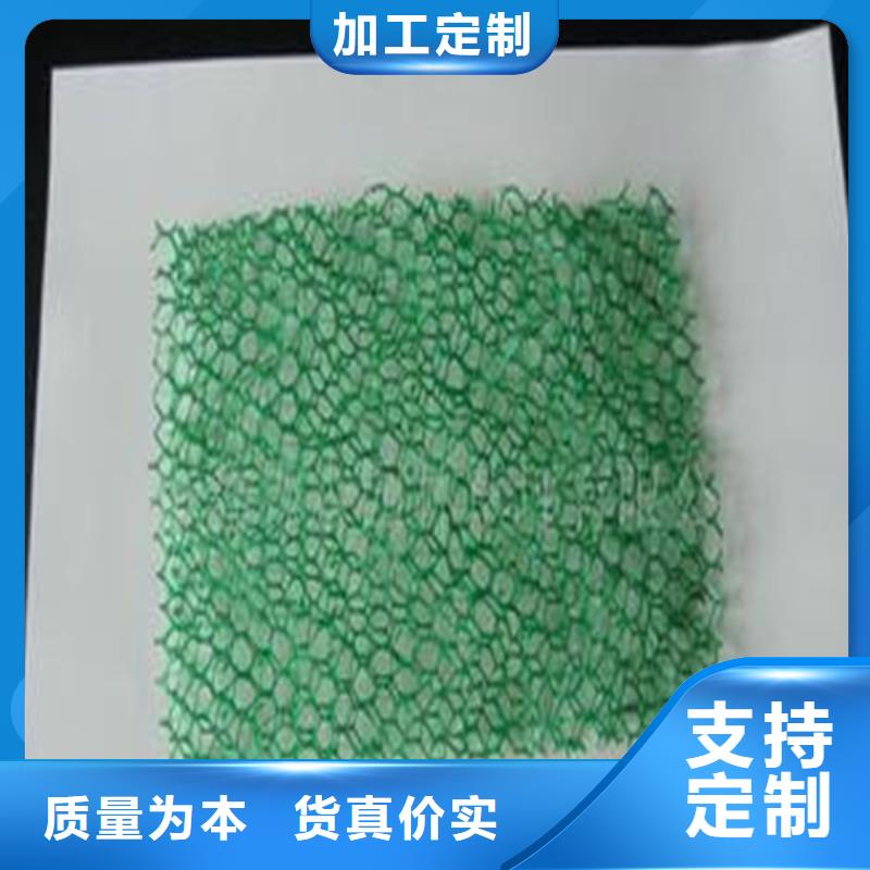 【土工布_礦用阻燃網(wǎng)匠心制造】