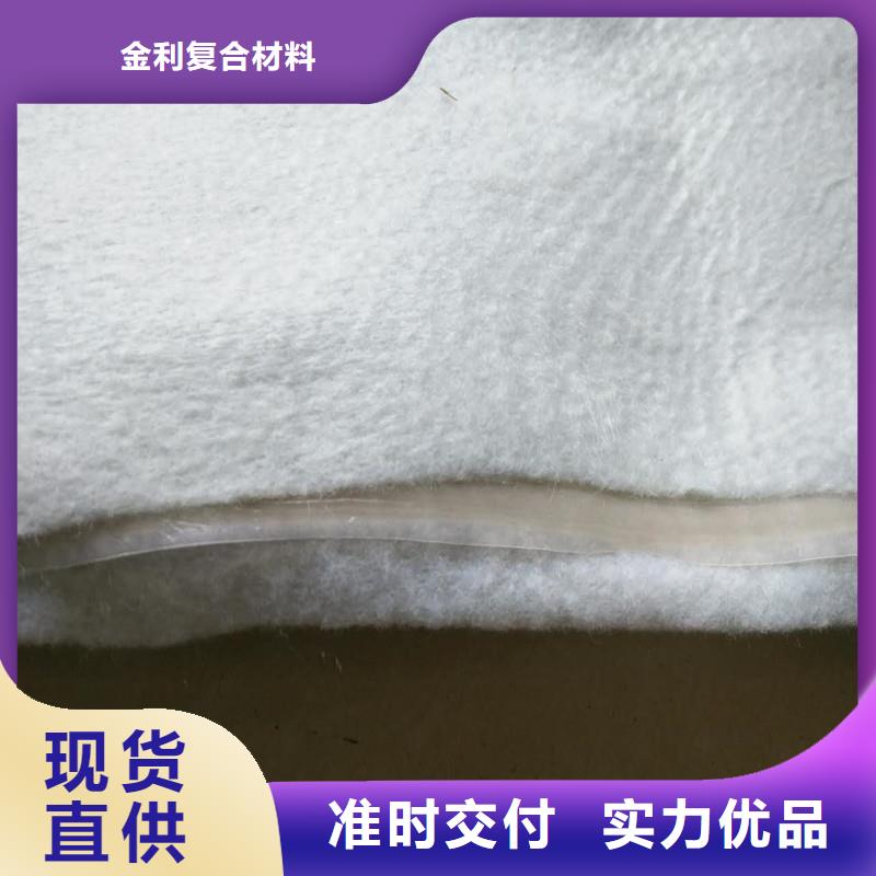 【土工布_礦用阻燃網(wǎng)匠心制造】