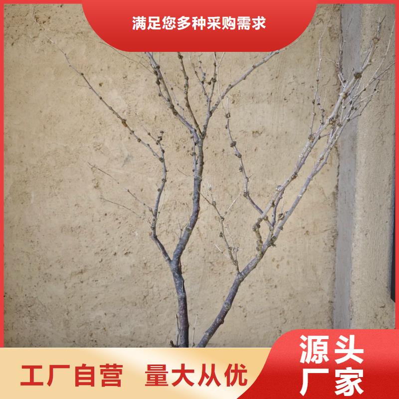 仿夯土外墻漆多少錢#生態稻草漆#老房翻新#農家小院