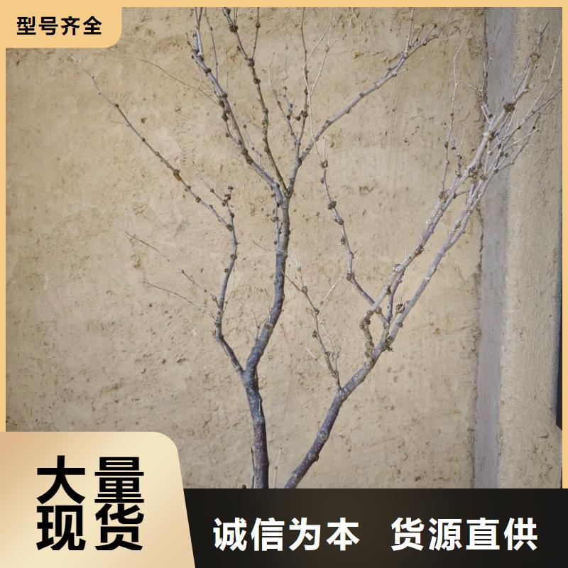仿五花斷層夯土漆價格#夯土墻面漆#仿泥巴墻涂料#稻草漆廠家