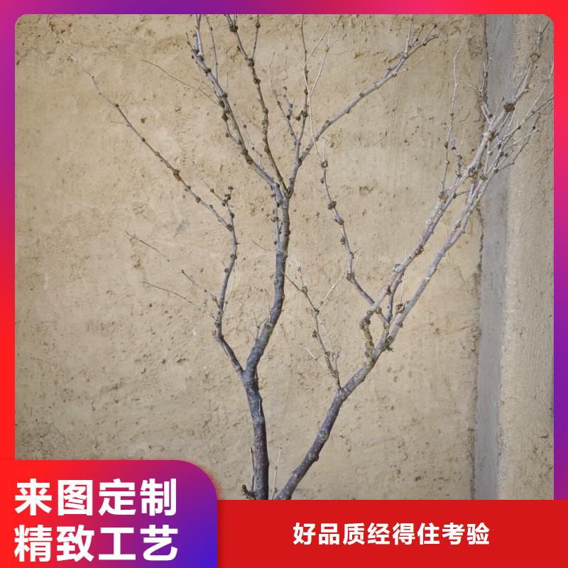生產(chǎn)廠家夯土漆品質(zhì)保證