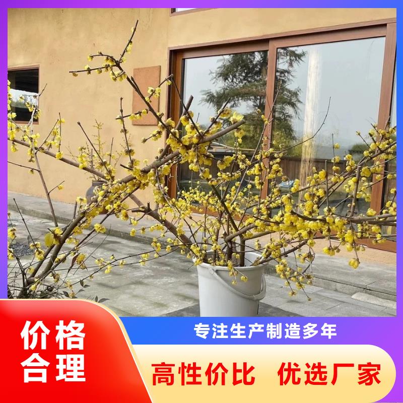 施工價格生態稻草漆質量優選
