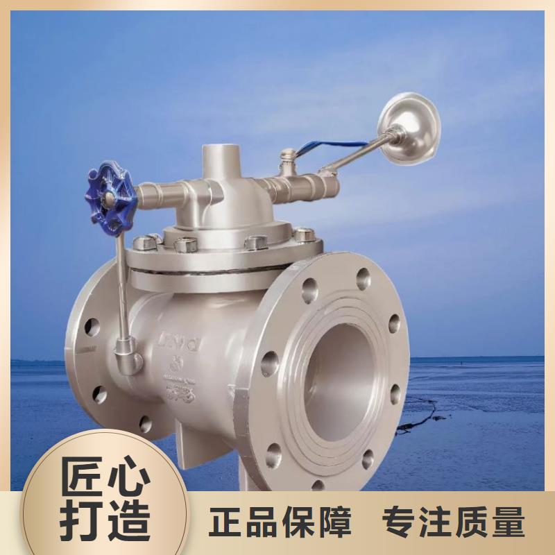 水力控制閥橡膠瓣止回閥實力公司