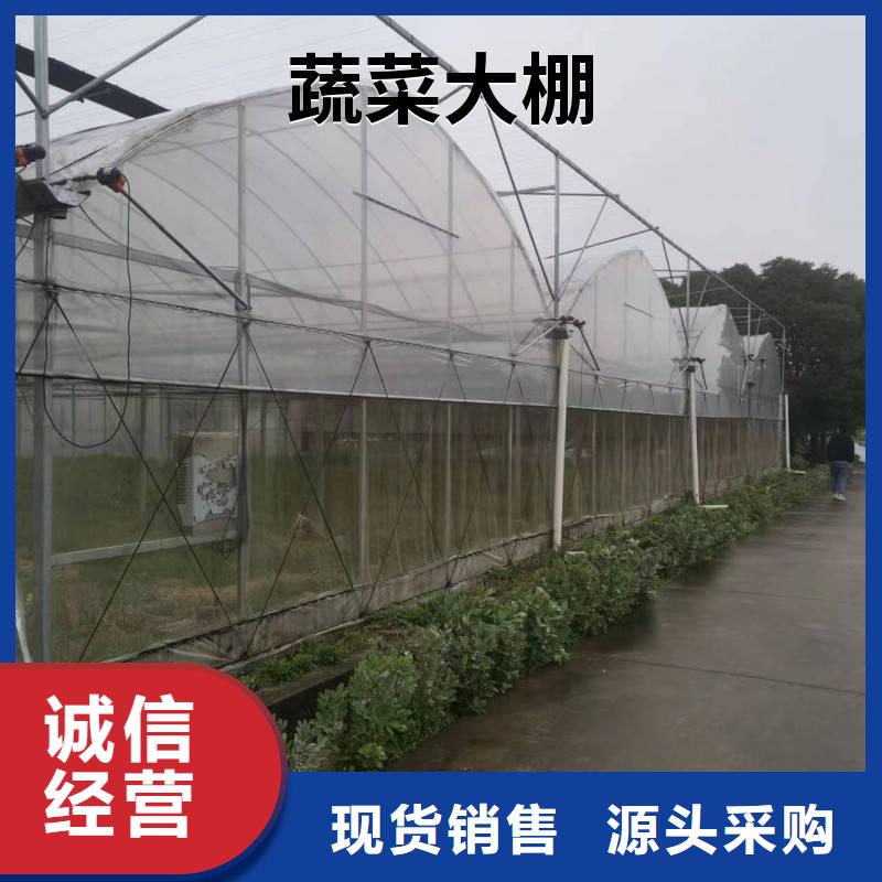 安徽省周边[金荣圣]颍上县蔬菜大棚无滴长寿膜按需定制