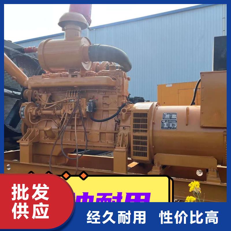 發(fā)電機(jī)租賃專業(yè)