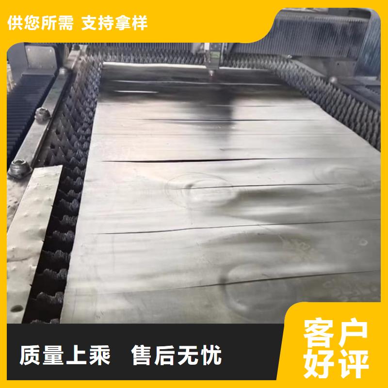 核醫學鉛板實力廠商