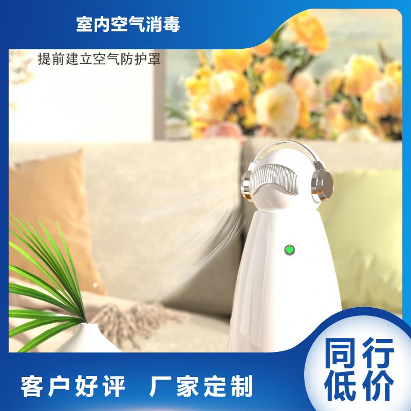 【深圳】迷你空气氧吧效果最好的产品负离子空气净化器