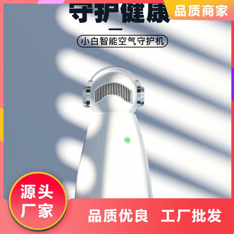 小白祛味王室內消毒廠家貨源