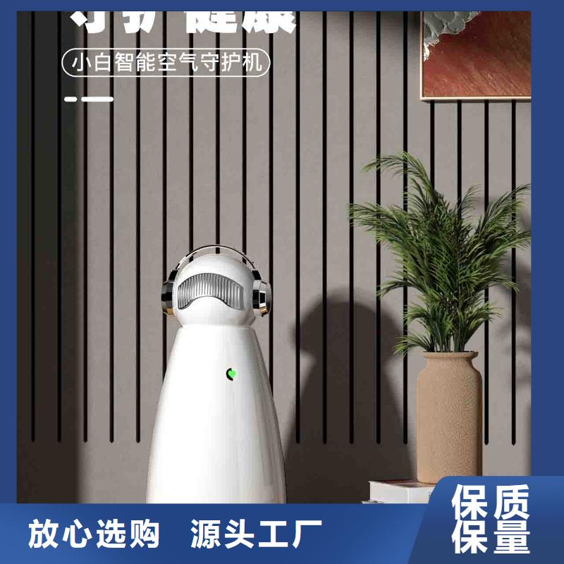 小白孕婦空氣守護機【小白空氣守護機器人】貨源足質量好