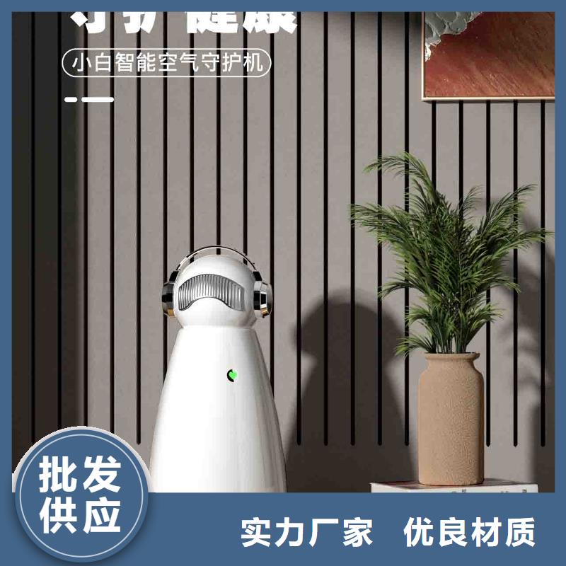 小白孕婦空氣守護機無臭養(yǎng)寵廠家新品