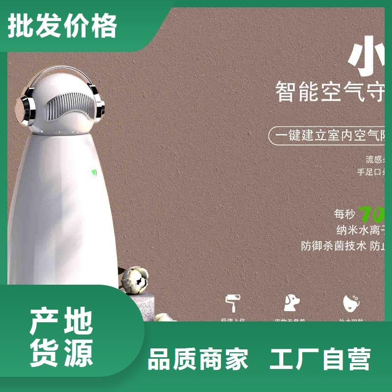 小白孕婦空氣守護機車載空氣凈化器銷售專業(yè)的生產(chǎn)廠家
