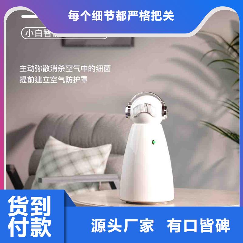 小白空氣守護機小白祛味王現貨細節展示