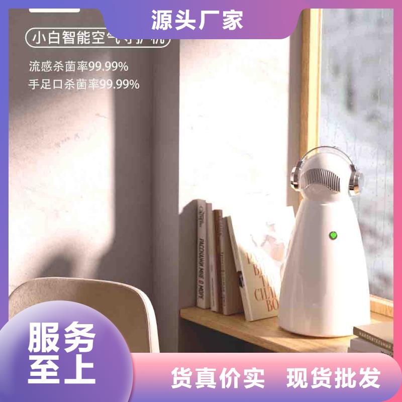 小白空氣守護(hù)機(jī)小白空氣守護(hù)機(jī)器人生產(chǎn)廠家貨源穩(wěn)定