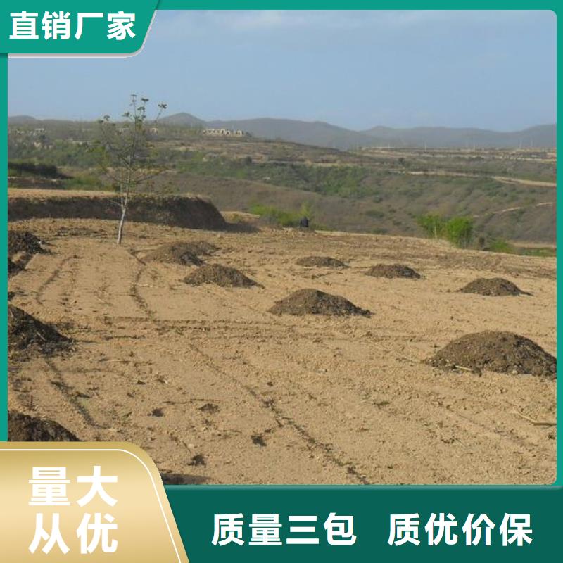 發酵雞糞松土喧地