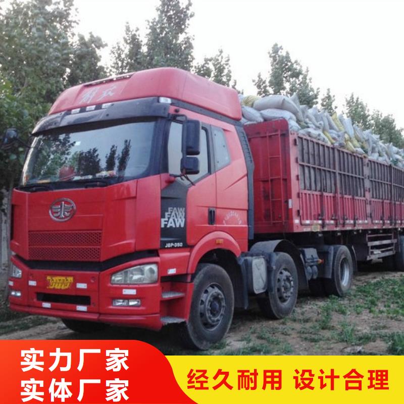 發酵羊糞培肥莊稼長勢好