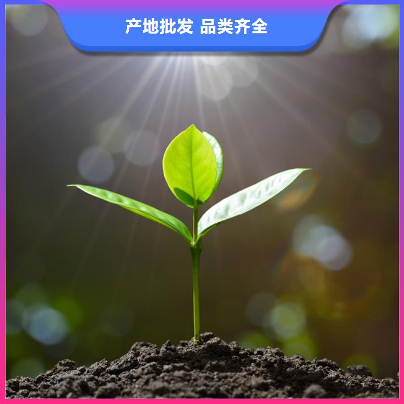 干雞糞正宗農家肥