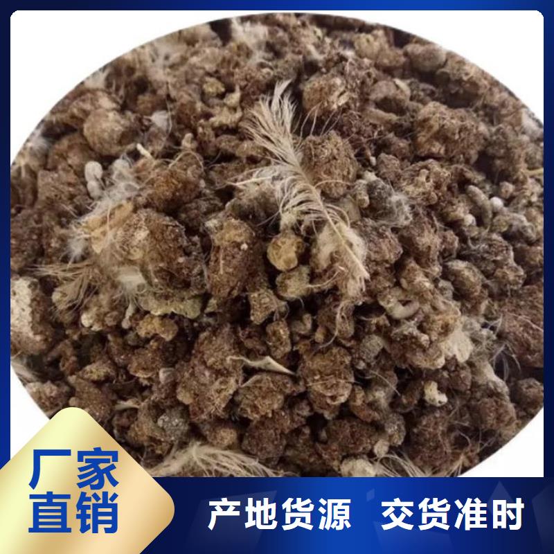 肥水雞糞服務三農