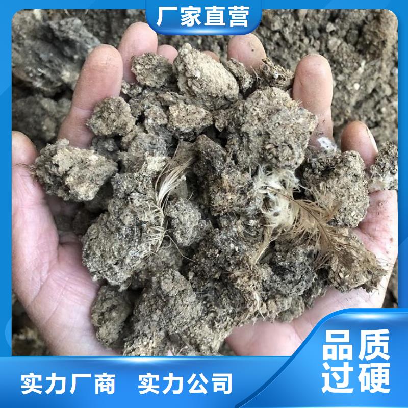 肥水雞糞服務三農