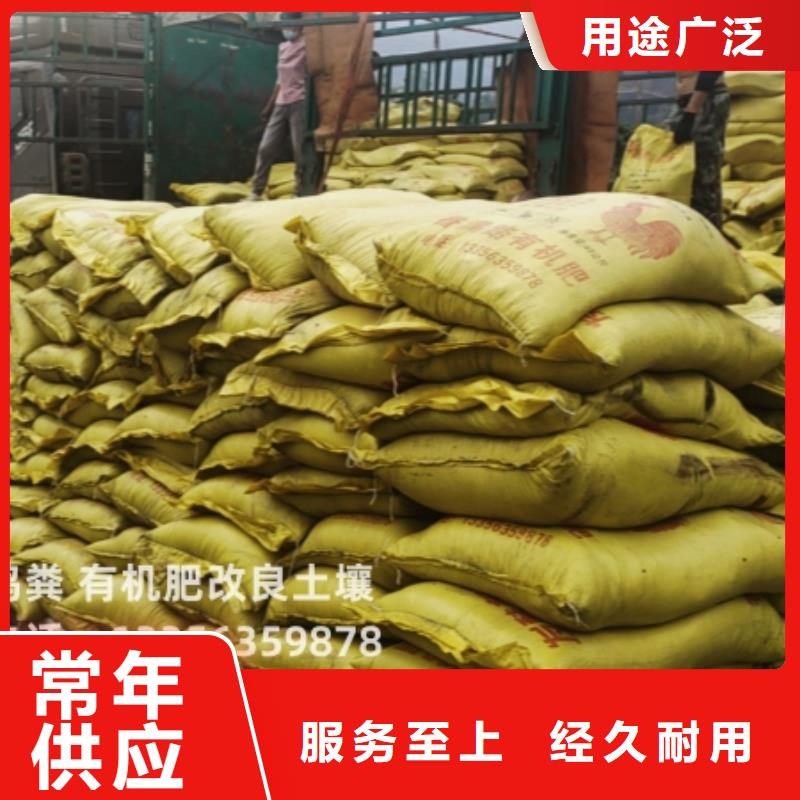 雞糞有機肥蔬菜基地用的好