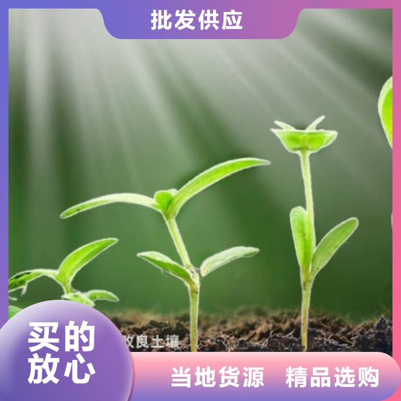 稻殼雞糞施肥好幫手