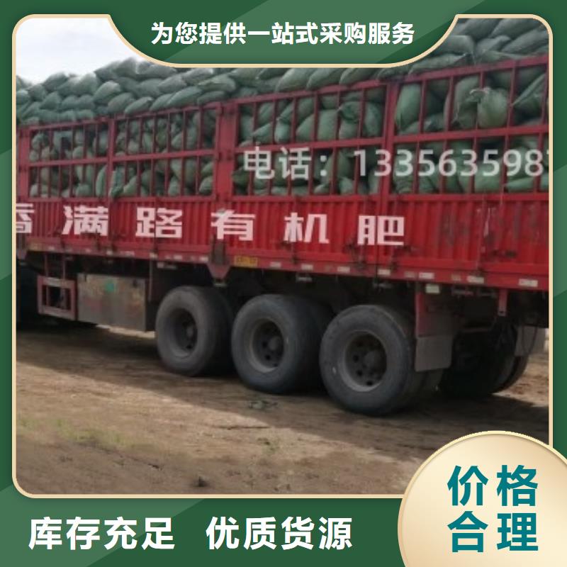 發酵羊糞培肥莊稼長勢好