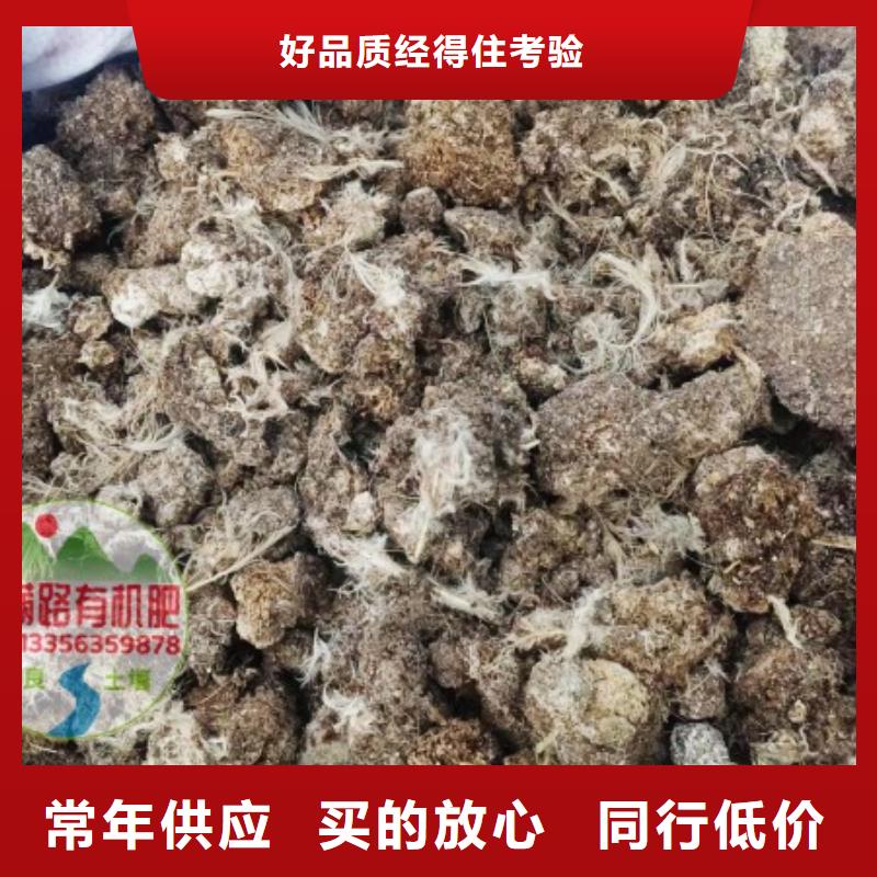 干雞糞塊是搖錢樹