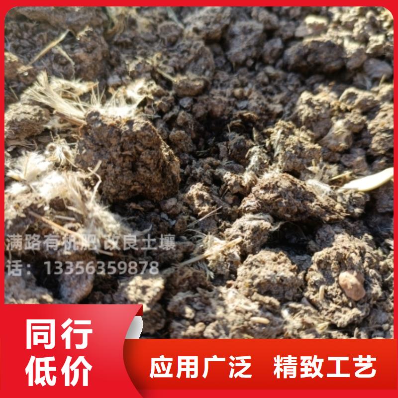 發酵羊糞培肥莊稼長勢好