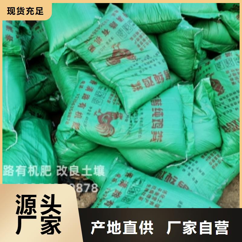 發酵羊糞培肥莊稼長勢好