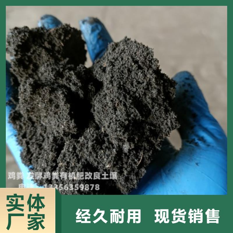 發酵羊糞培肥莊稼長勢好