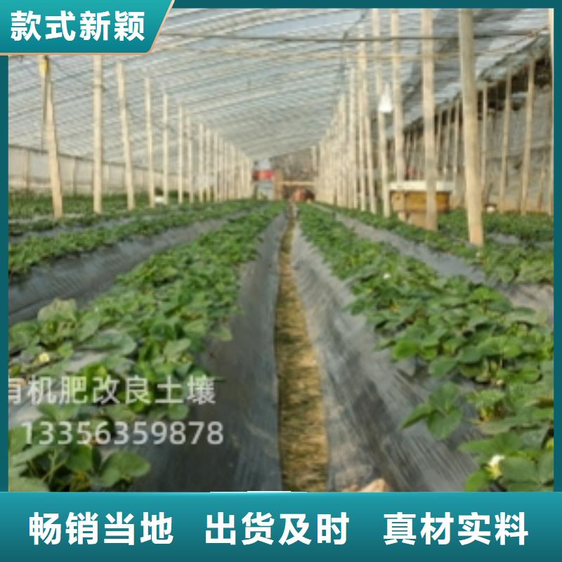 干雞糞有利土壤改良