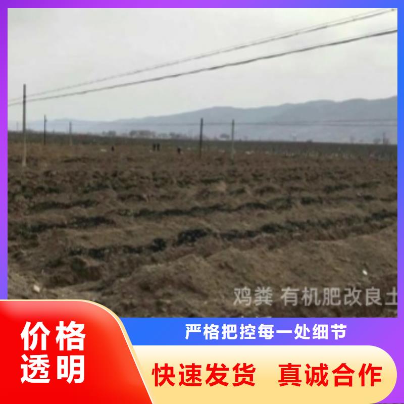 昌江縣稻殼雞糞改善品質(zhì)