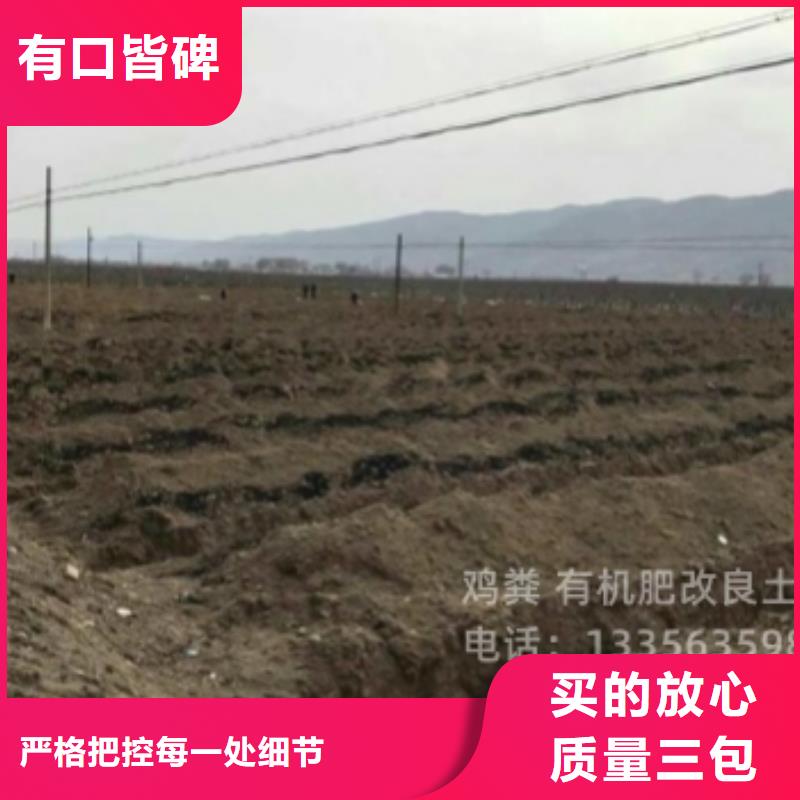 發酵雞糞松土喧地