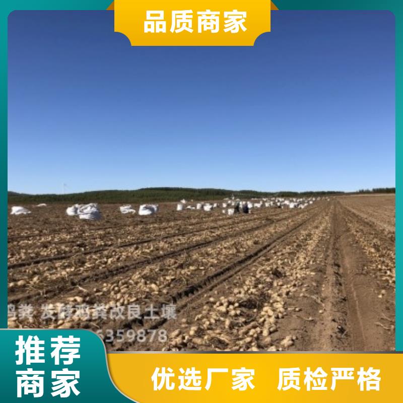 發酵雞糞能當果樹肥料