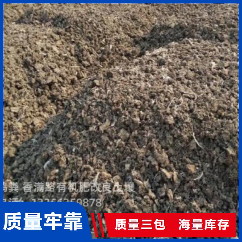 雞糞曬干雞糞按需定做