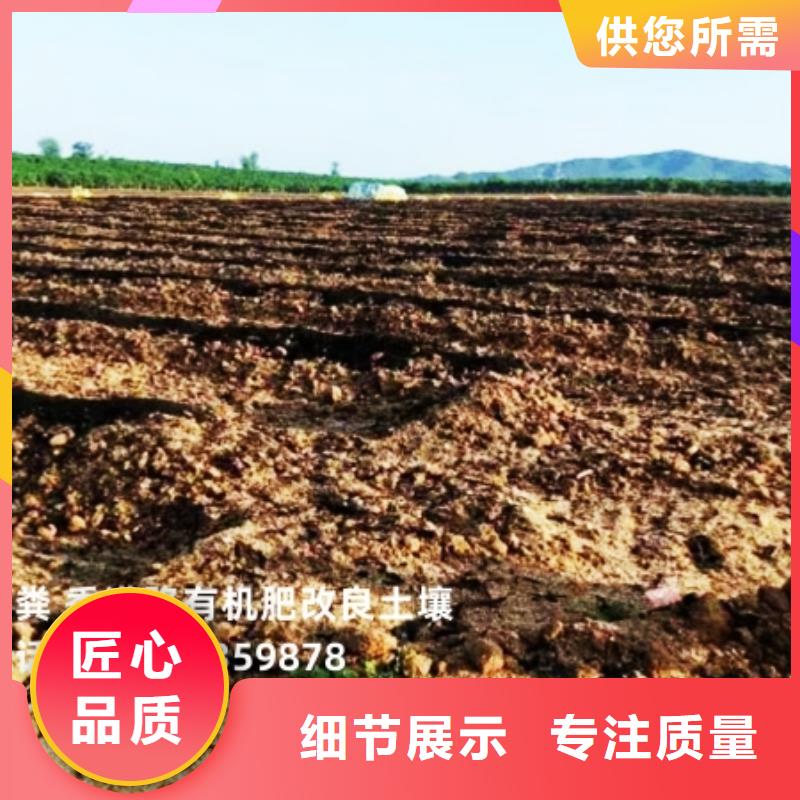 發酵羊糞朋友圈里都知道