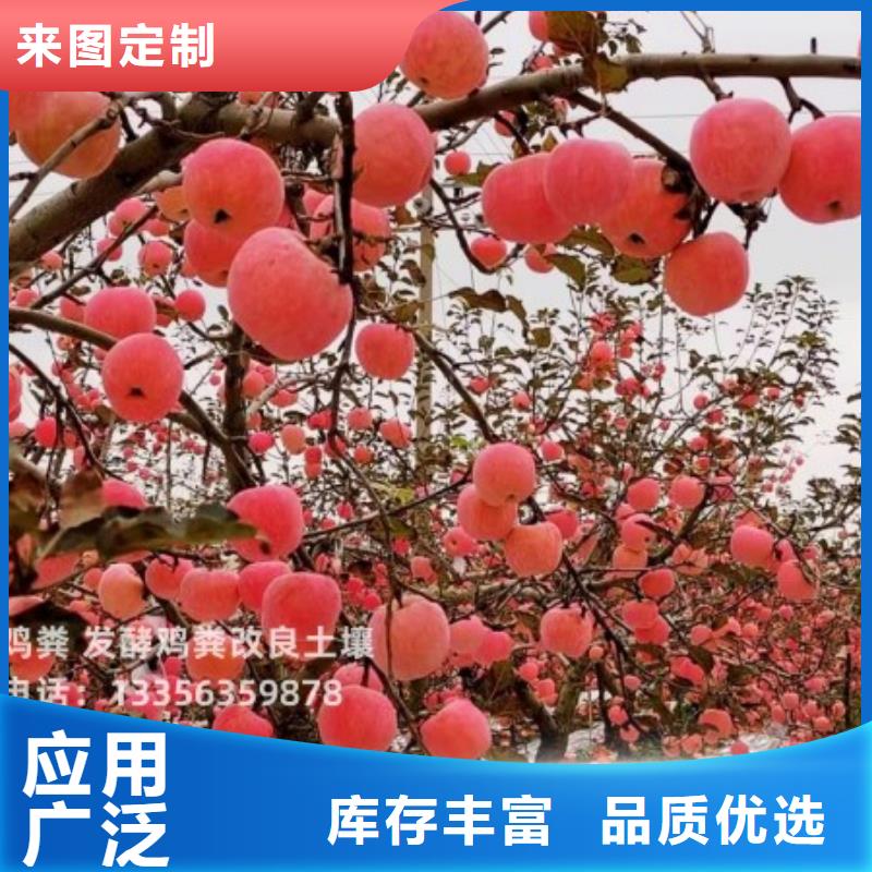 稻殼雞糞施肥好幫手
