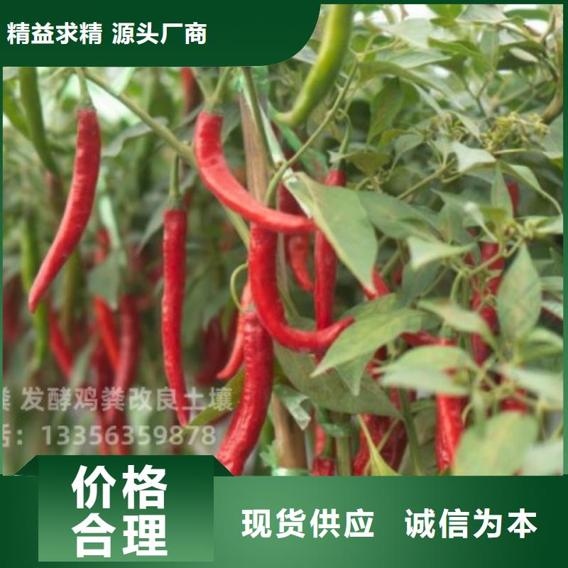 稻殼雞糞多少起訂