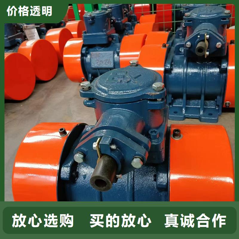 振動電機(jī)滾動式振動平臺好產(chǎn)品價格低