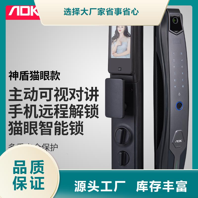 智能鎖人臉識別智能鎖批發專業生產N年