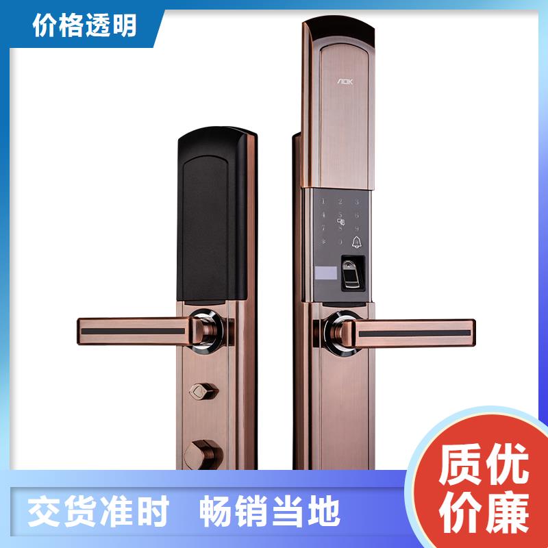 智能鎖人臉識別智能鎖批發誠信商家