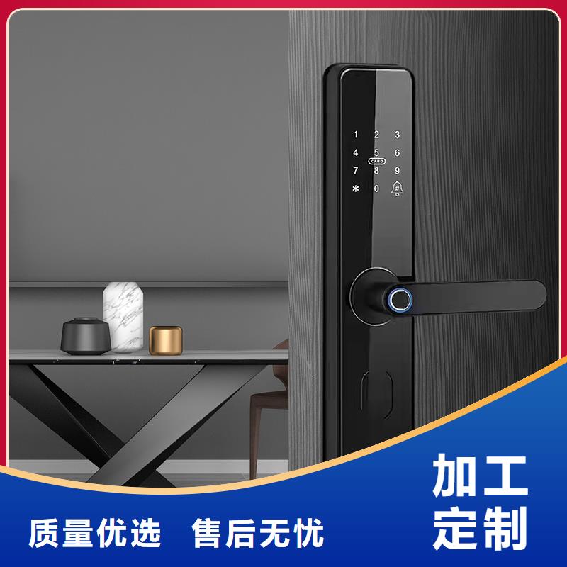 智能鎖人臉識別智能鎖批發專業生產N年