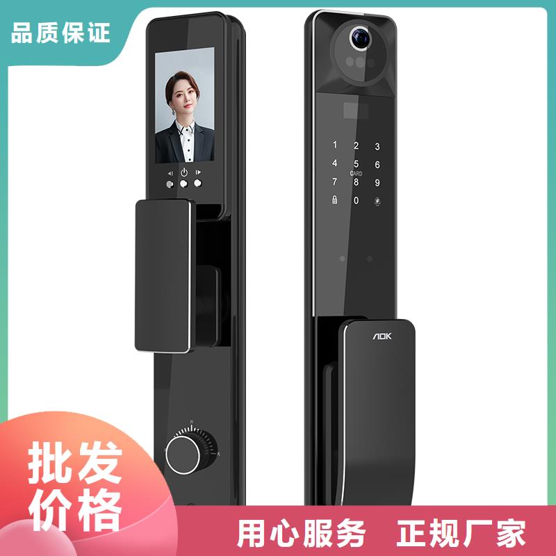 智能鎖-智能鎖生產廠家專業按需定制