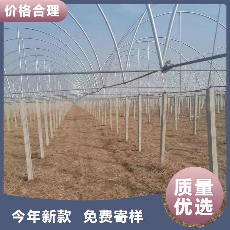 溫室大棚光伏支架值得信賴(lài)