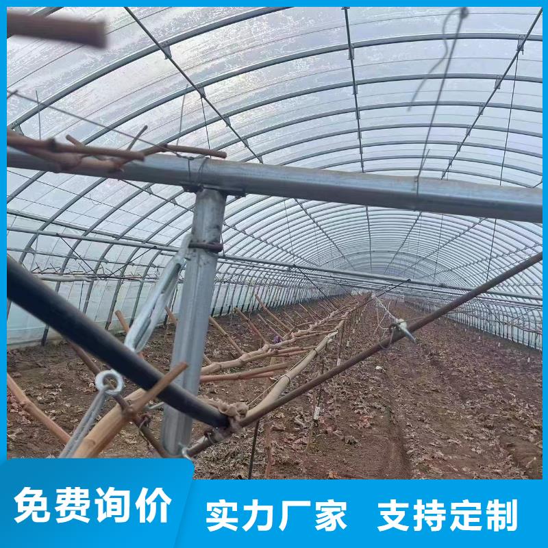【溫室大棚鋅鋁鎂光伏支架生產經驗豐富】