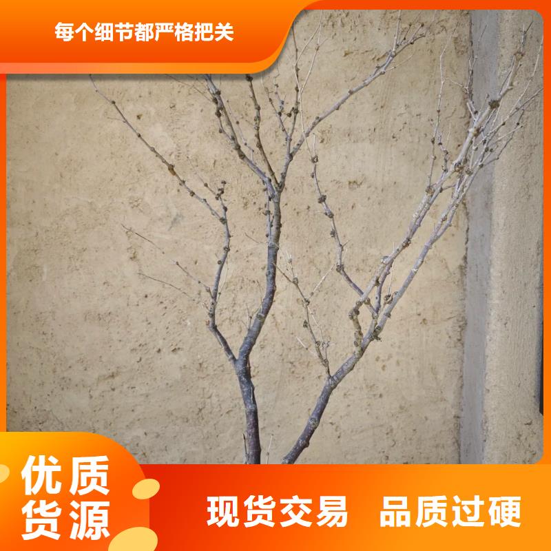 稻草泥源頭工廠，質量保證