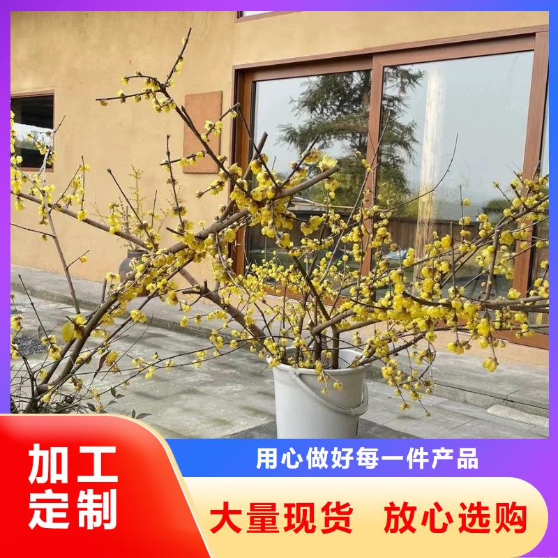 仿夯土墻稻草漆專業施工，源頭工廠